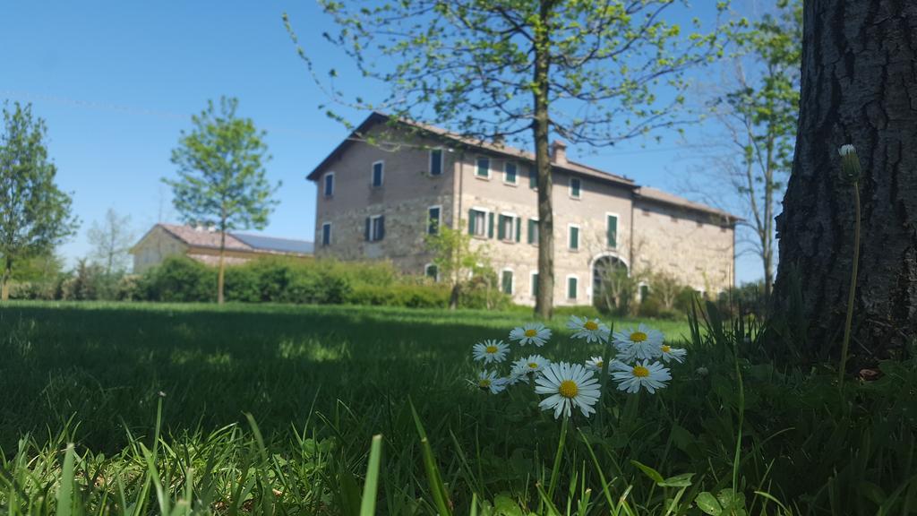 Agriturismo Il Brugnolo سكانديانو المظهر الخارجي الصورة