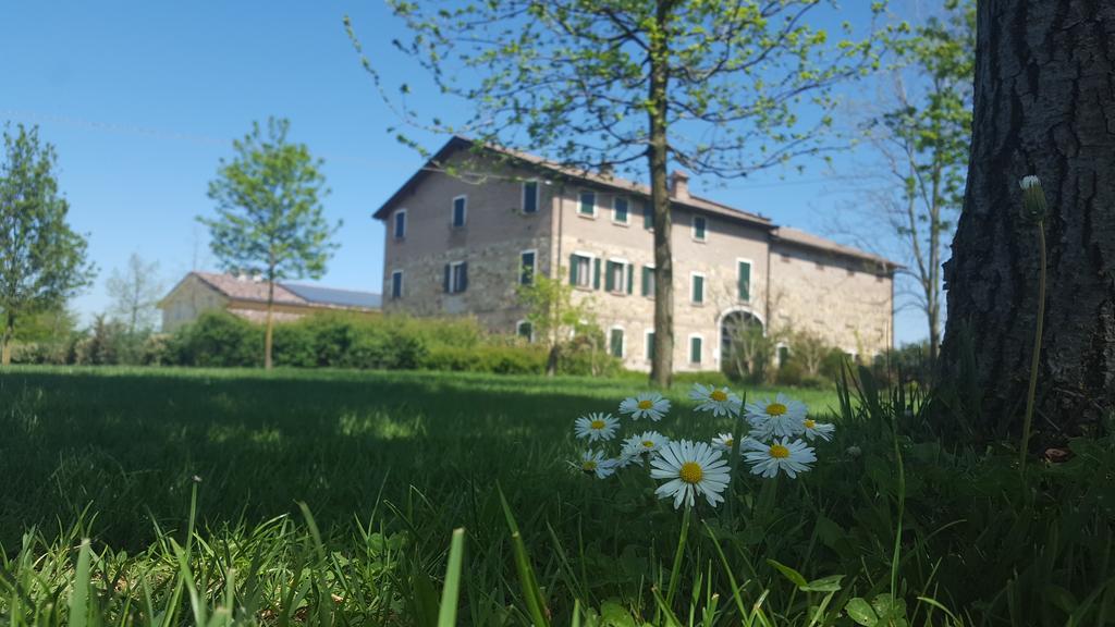 فيلا Agriturismo Il Brugnolo سكانديانو المظهر الخارجي الصورة