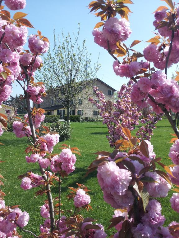 Agriturismo Il Brugnolo سكانديانو المظهر الخارجي الصورة
