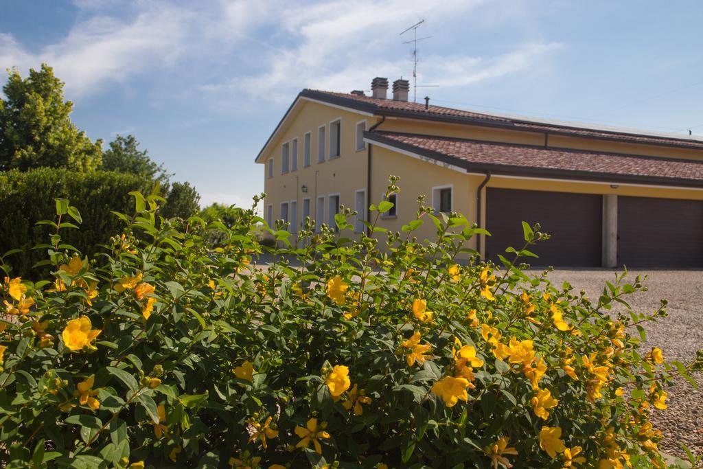 Agriturismo Il Brugnolo سكانديانو المظهر الخارجي الصورة